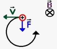 Uno ione in un campo magnetico uniforme segue una traiettoria circolare. Il numero di giri al secondo percorsi dagli ioni, cioè la frequenza di rotazione degli ioni, è detta frequenza di ciclotrone.