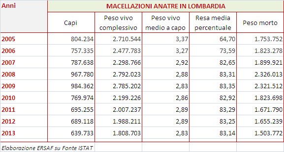 IL MERCATO