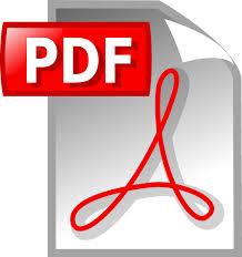 E-book [FORMATO] Non è un qualsiasi documento digitale composto di testo E un file [insieme di file] specifico, fruibile da un