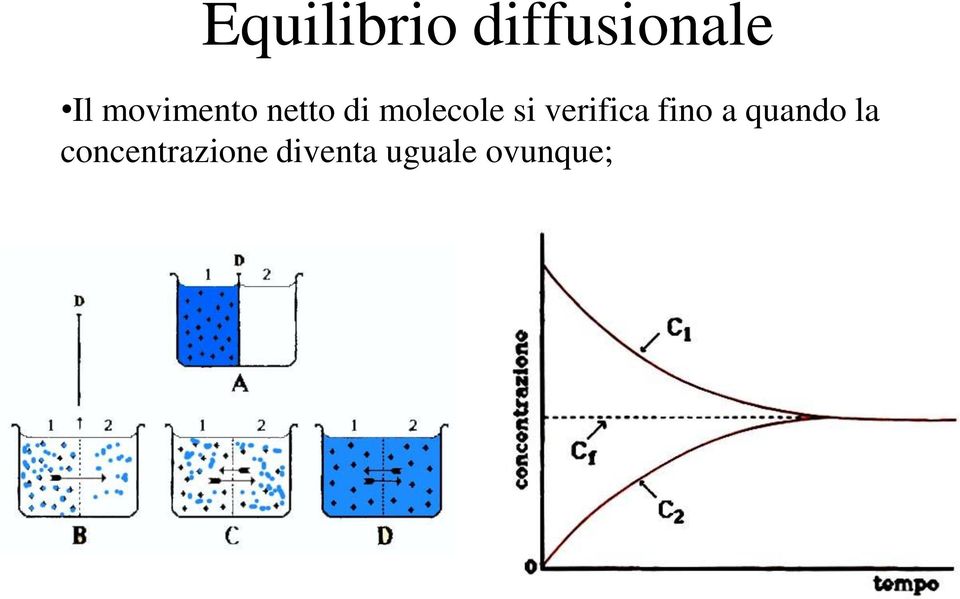 verifica fino a quando la