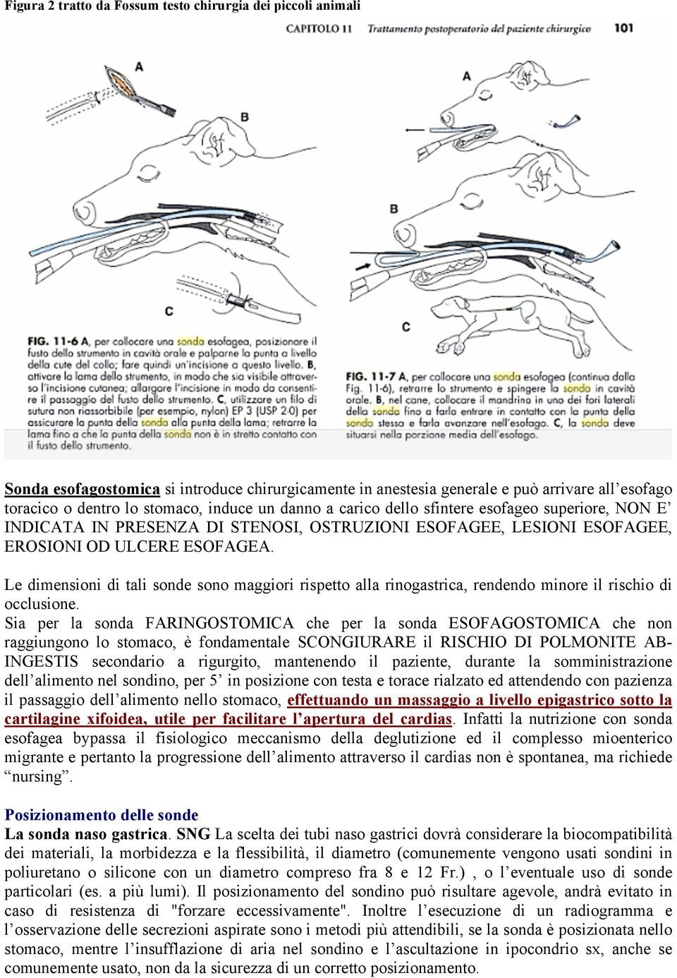 Le dimensioni di tali sonde sono maggiori rispetto alla rinogastrica, rendendo minore il rischio di occlusione.