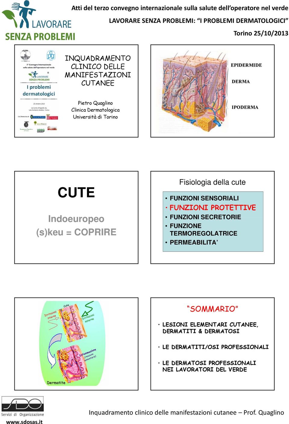 FUNZIONE TERMOREGOLATRICE PERMEABILITA SOMMARIO LESIONI ELEMENTARI CUTANEE, DERMATITI & DERMATOSI LE DERMATITI/OSI