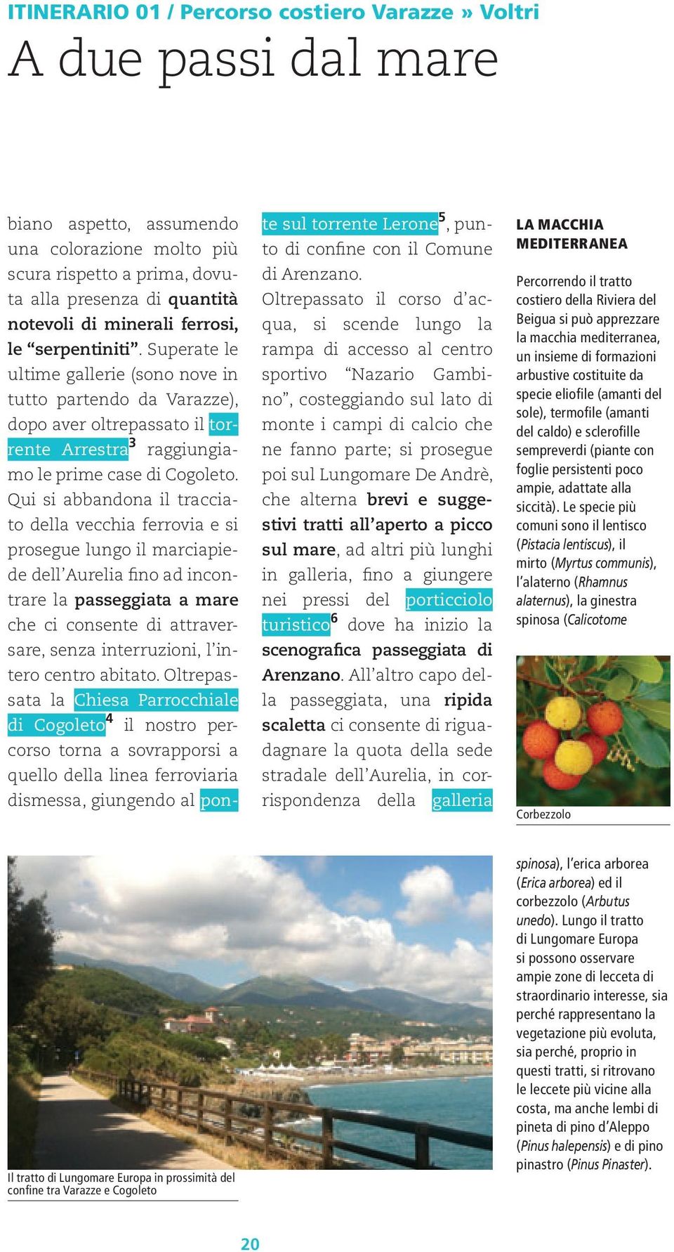 Qui si abbandona il tracciato della vecchia ferrovia e si prosegue lungo il marciapiede dell Aurelia fino ad incontrare la passeggiata a mare che ci consente di attraversare, senza interruzioni, l