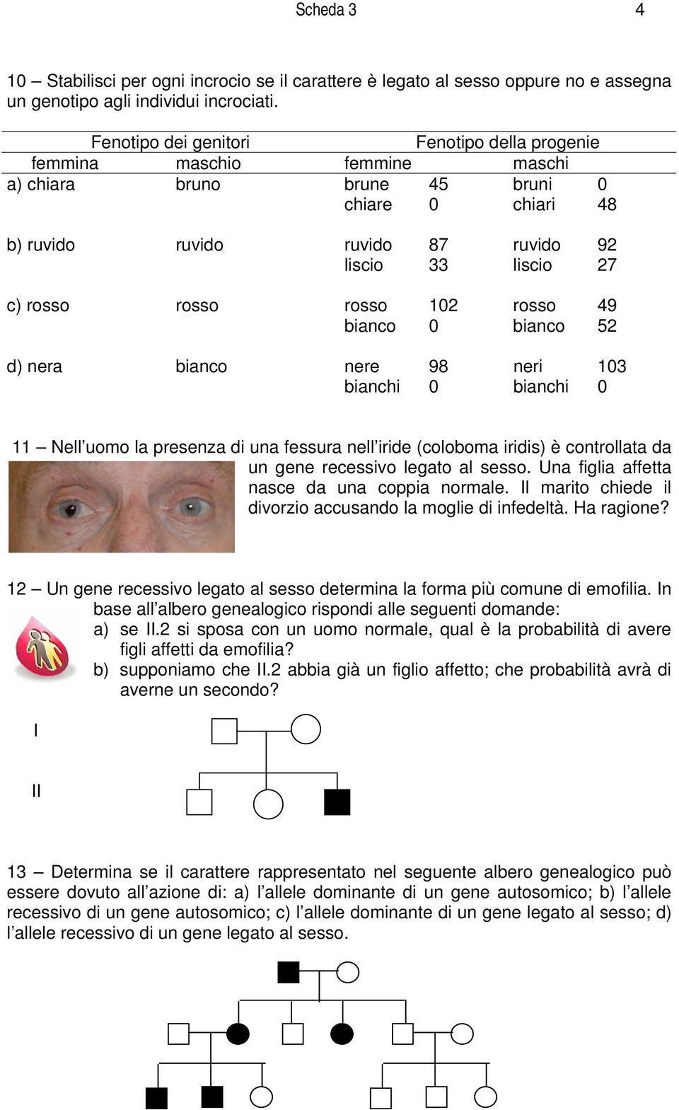 rosso rosso 102 rosso 49 bianco 0 bianco 52 d) nera bianco nere 98 neri 103 bianchi 0 bianchi 0 11 Nell uomo la presenza di una fessura nell iride (coloboma iridis) è controllata da un gene recessivo