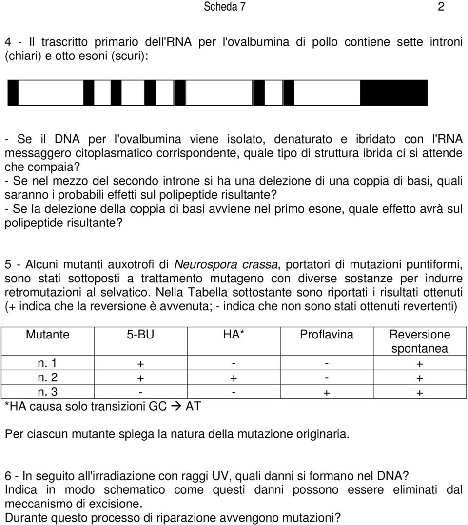 - Se nel mezzo del secondo introne si ha una delezione di una coppia di basi, quali saranno i probabili effetti sul polipeptide risultante?