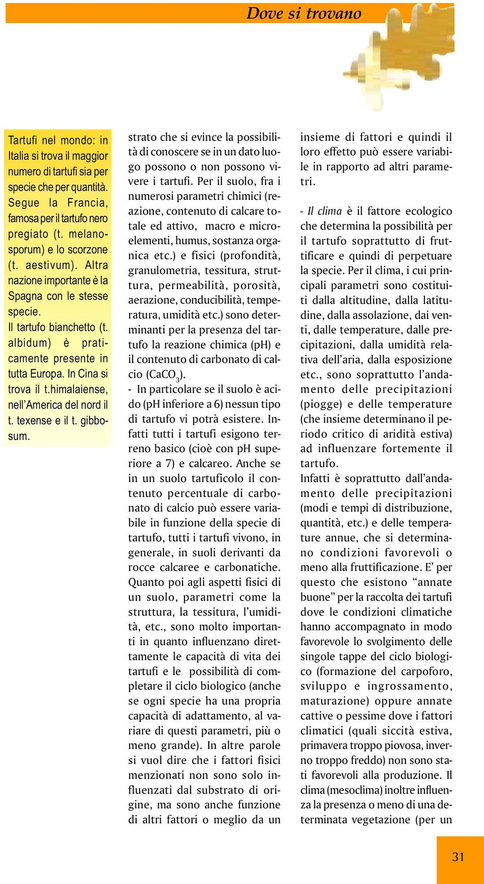 texense e il t. gibbosum. strato che si evince la possibilità di conoscere se in un dato luogo possono o non possono vivere i tartufi.