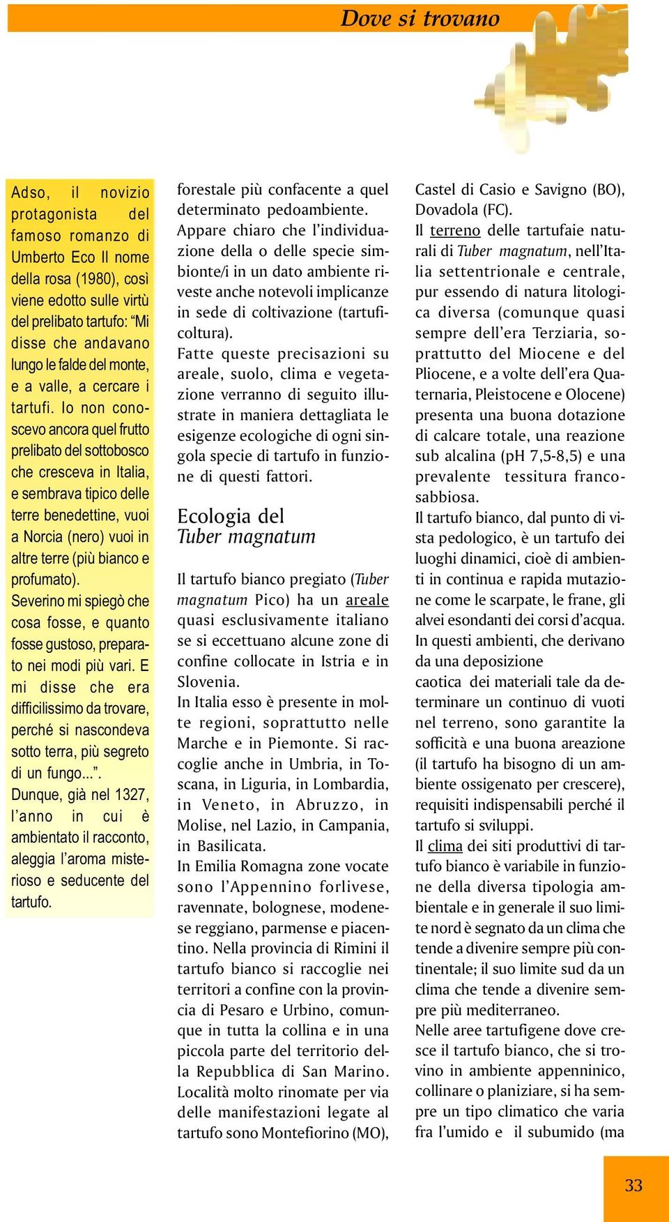 Io non conoscevo ancora quel frutto prelibato del sottobosco che cresceva in Italia, e sembrava tipico delle terre benedettine, vuoi a Norcia (nero) vuoi in altre terre (più bianco e profumato).