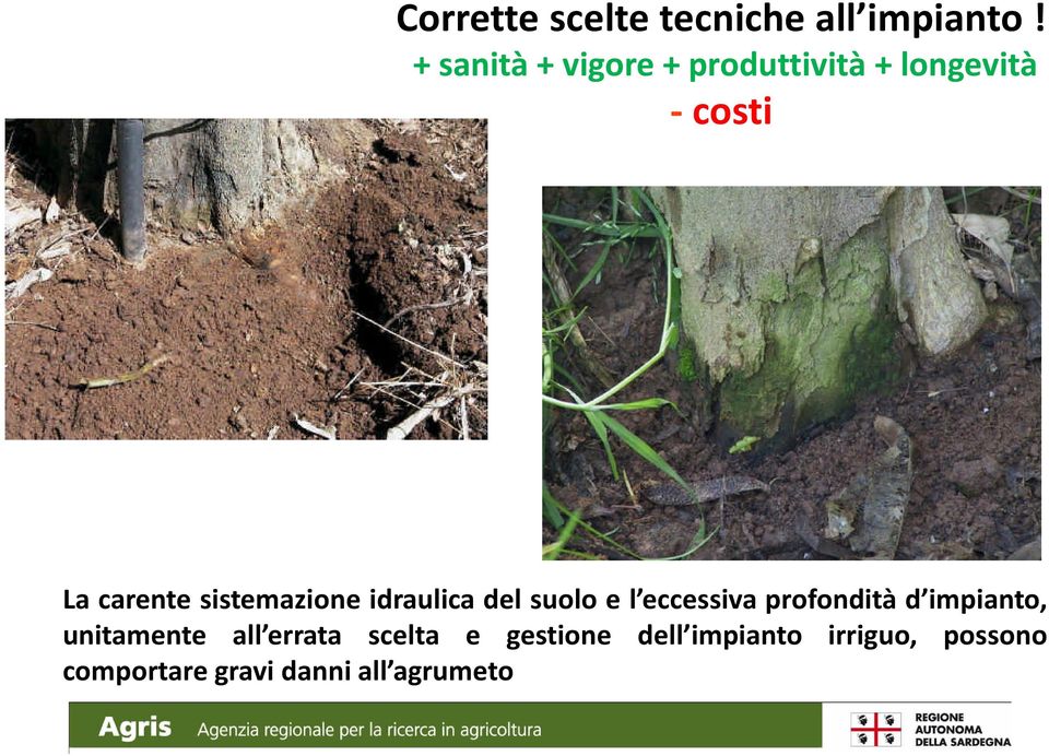 sistemazione idraulica del suolo e l eccessiva profondità d impianto,