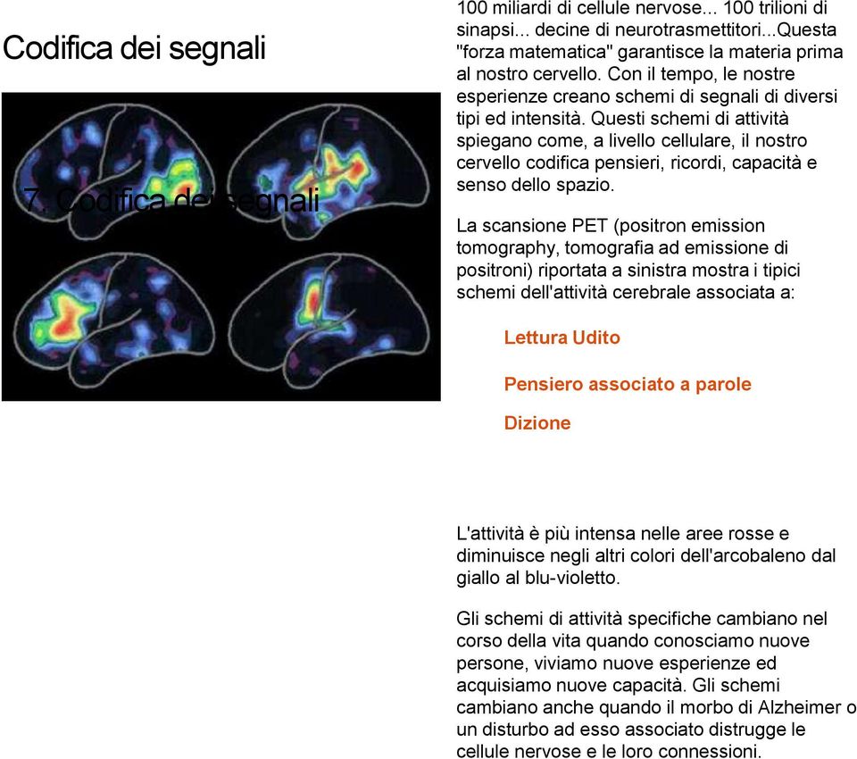 Questi schemi di attività spiegano come, a livello cellulare, il nostro cervello codifica pensieri, ricordi, capacità e senso dello spazio.