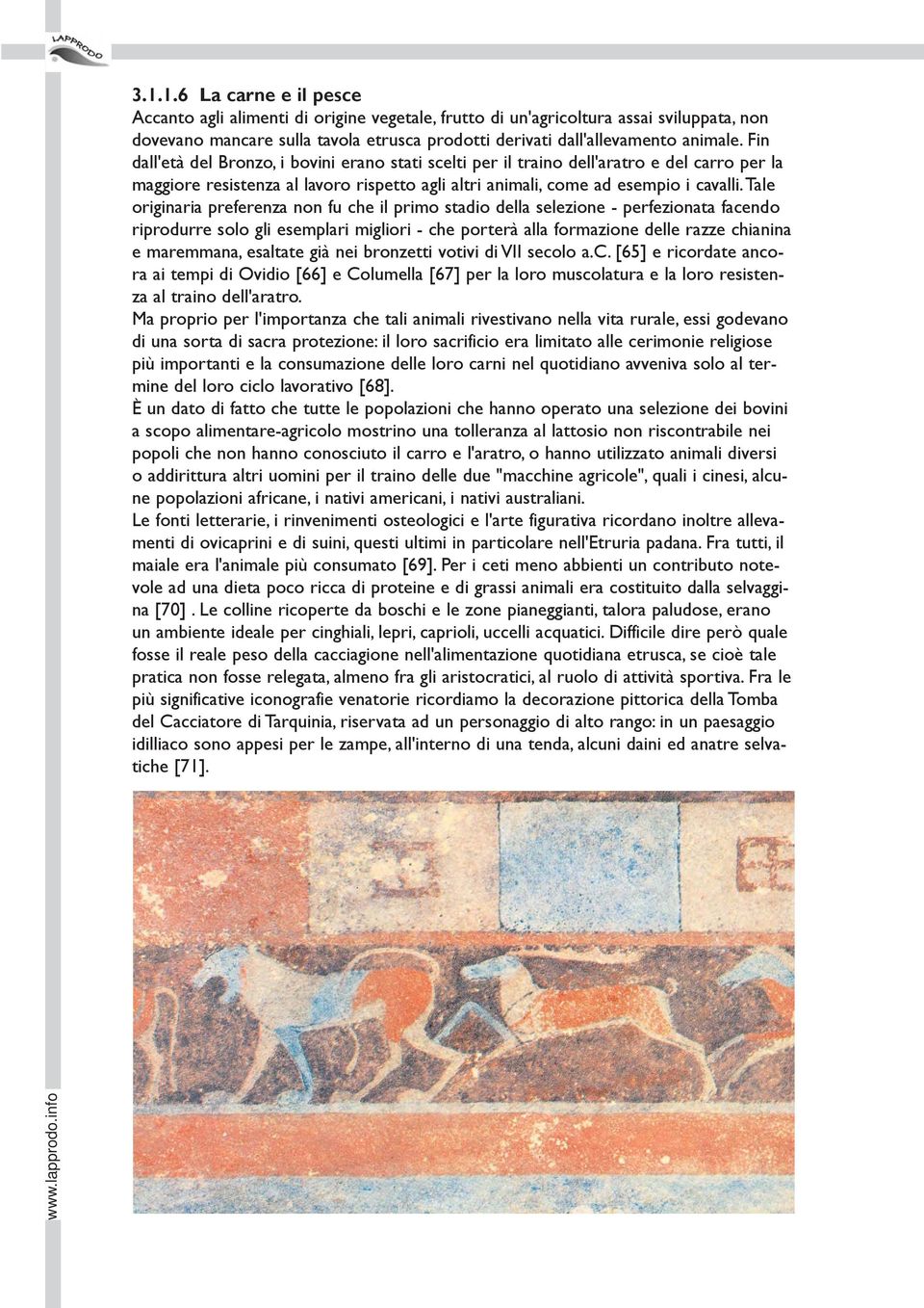 tale originaria preferenza non fu che il primo stadio della selezione - perfezionata facendo riprodurre solo gli esemplari migliori - che porterà alla formazione delle razze chianina e maremmana,