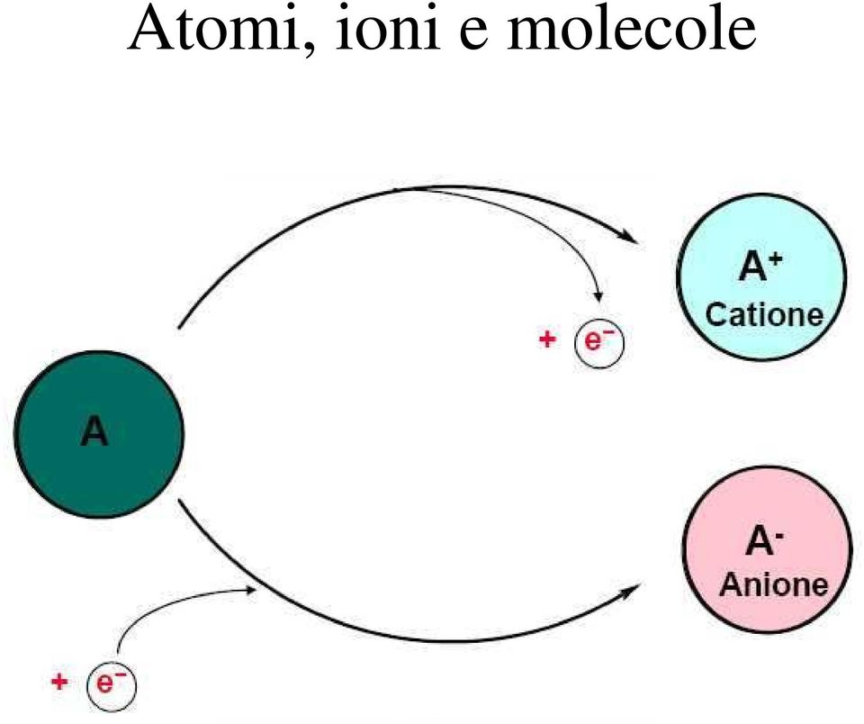 molecole