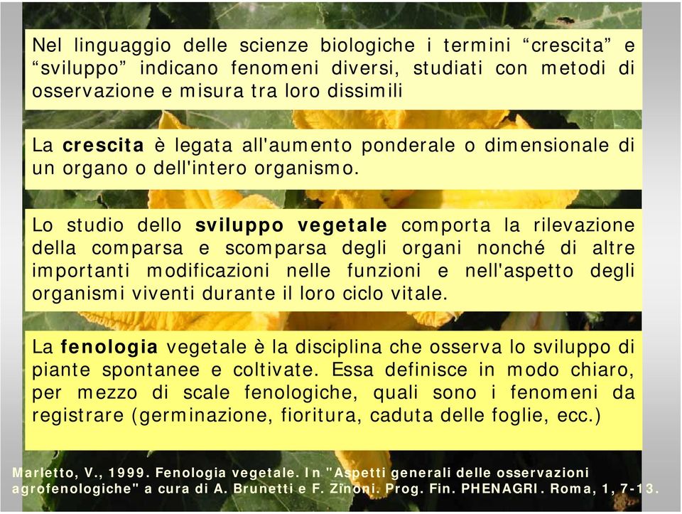 Lo studio dello sviluppo vegetale comporta la rilevazione della comparsa e scomparsa degli organi nonché di altre importanti modificazioni nelle funzioni e nell'aspetto degli organismi viventi