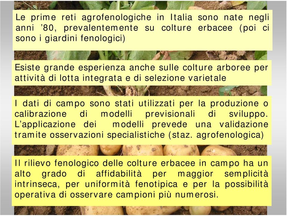 previsionali di sviluppo. L applicazione dei modelli prevede una validazione tramite osservazioni specialistiche (staz.