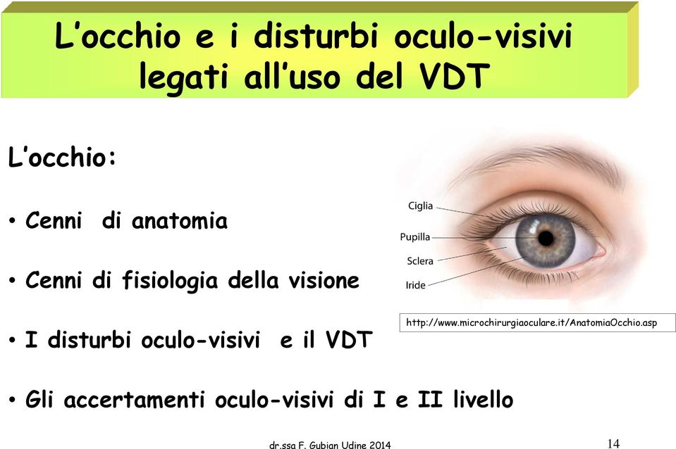 oculo-visivi e il VDT http://www.microchirurgiaoculare.