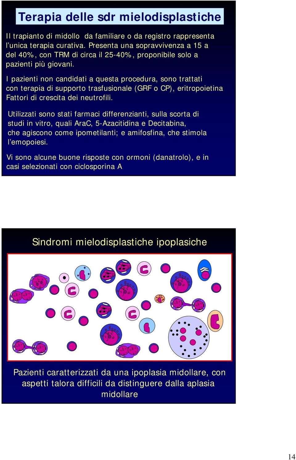 I pazienti non candidati a questa procedura, sono trattati con terapia di supporto trasfusionale (GRF o CP), eritropoietina Fattori di crescita dei neutrofili.