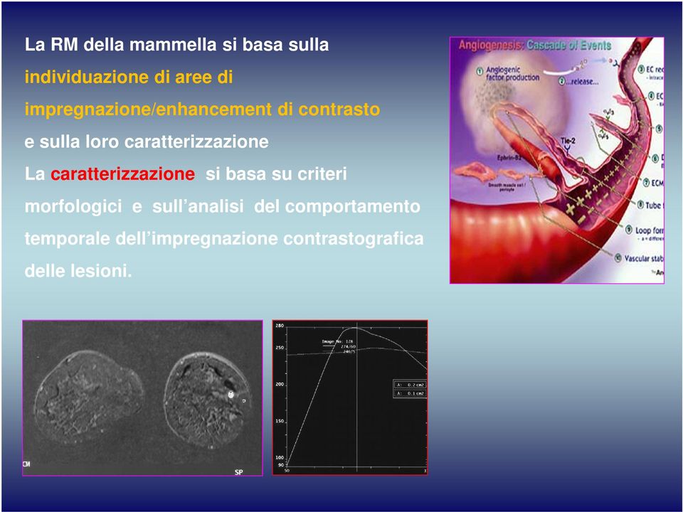 caratterizzazione La caratterizzazione si basa su criteri