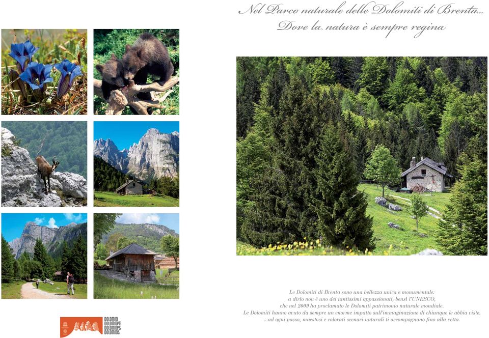 dei tantissimi appassionati, bensì l UNESCO, che nel 2009 ha proclamato le Dolomiti patrimonio naturale mondiale.