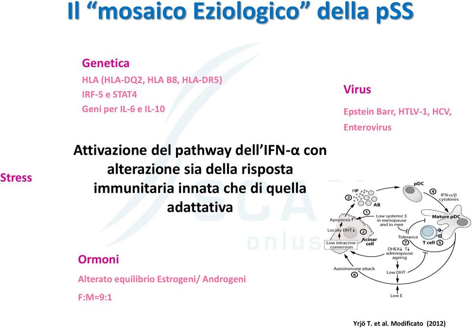 pathway dell IFN-α con alterazione sia della risposta immunitaria innata che di quella