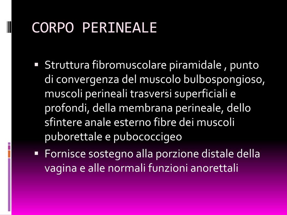 perineale, dello sfintere anale esterno fibre dei muscoli puborettale e pubococcigeo