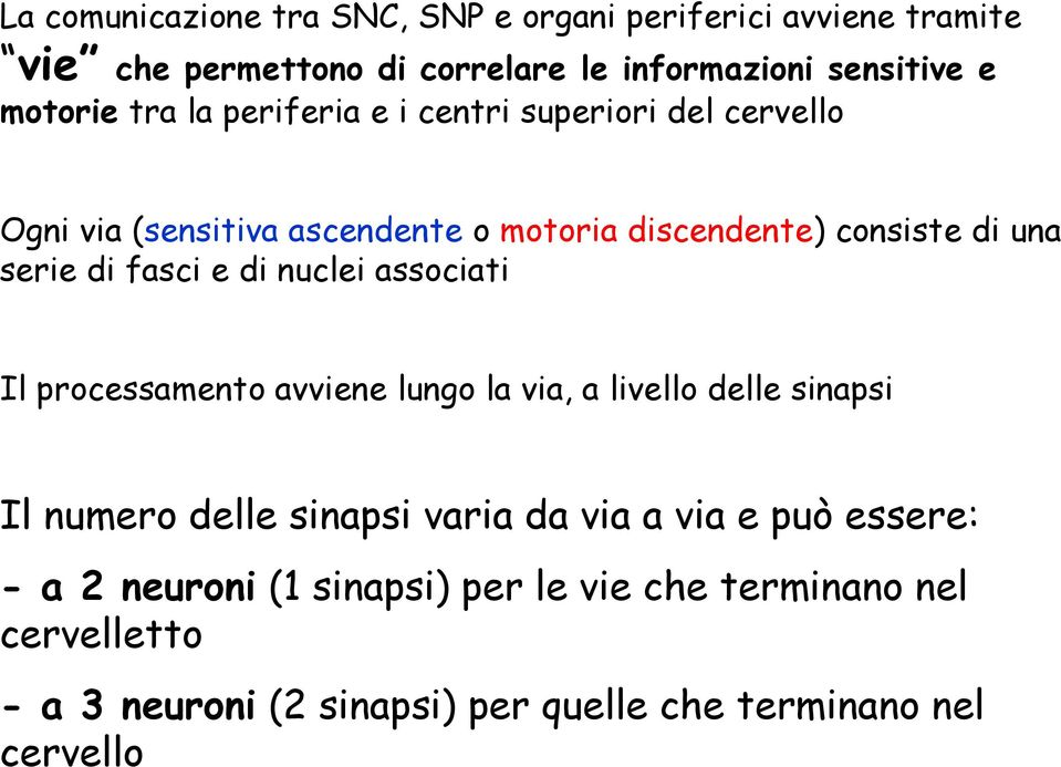 e di nuclei associati Il processamento avviene lungo la via, a livello delle sinapsi Il numero delle sinapsi varia da via a via e può