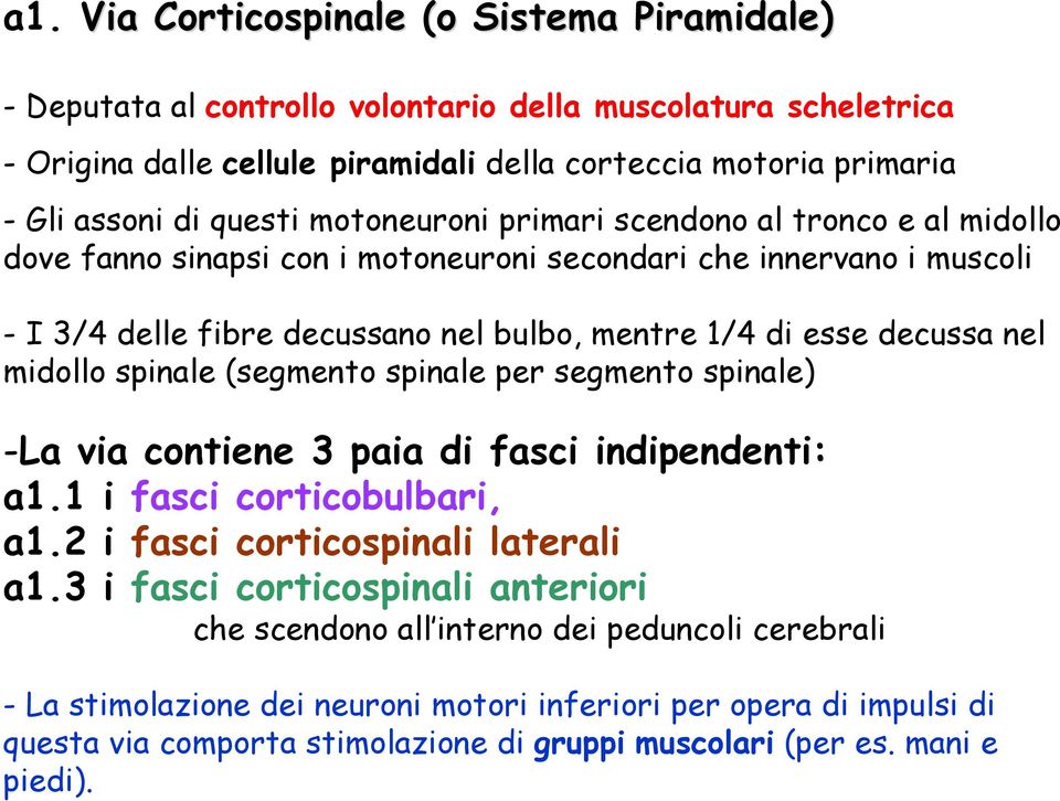 nel midollo spinale (segmento spinale per segmento spinale) -La via contiene 3 paia di fasci indipendenti: a1.1 i fasci corticobulbari, a1.2 i fasci corticospinali laterali a1.