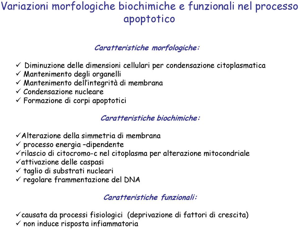 Alterazione della simmetria di membrana processo energia dipendente rilascio di citocromo-c nel citoplasma per alterazione mitocondriale attivazione delle caspasi taglio