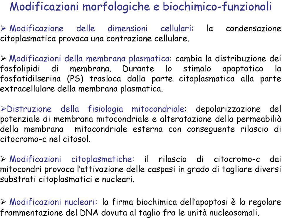 Durante lo stimolo apoptotico la fosfatidilserina (PS) trasloca dalla parte citoplasmatica alla parte extracellulare della membrana plasmatica.