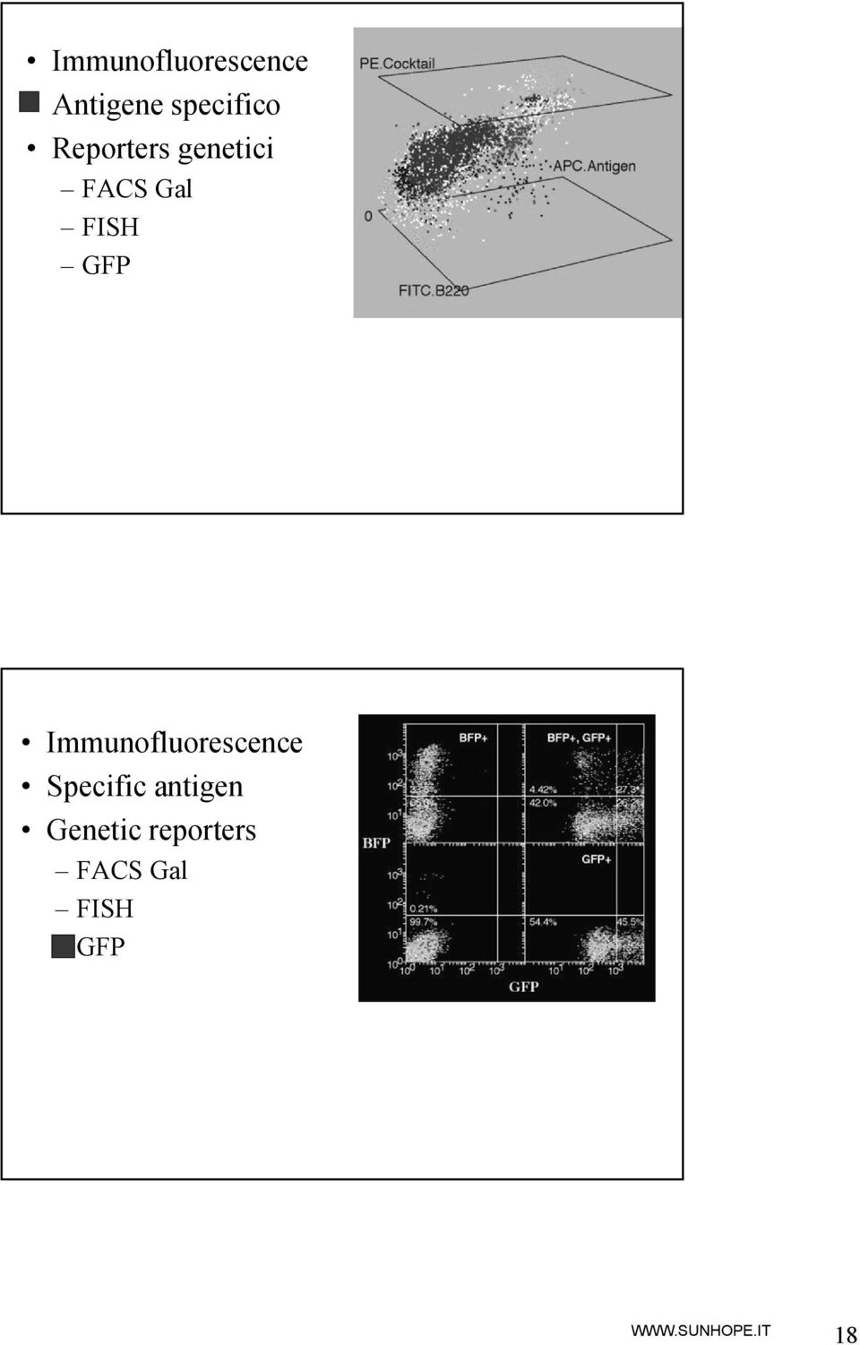 Immunofluorescence Specific antigen