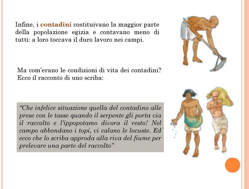 Ecco il racconto di uno scriba: Che infelice situazione quella del contadino alle prese con le tasse quando il serpente gli