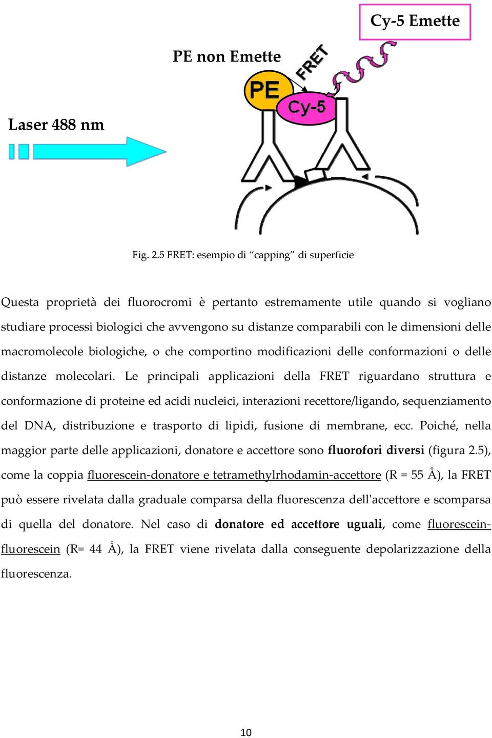 dimensioni delle macromolecole biologiche, o che comportino modificazioni delle conformazioni o delle distanze molecolari.