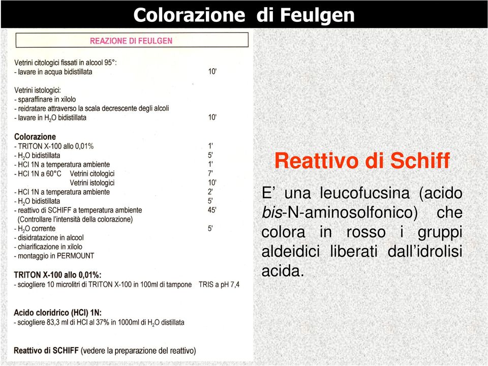 bis-n-aminosolfonico) che colora in