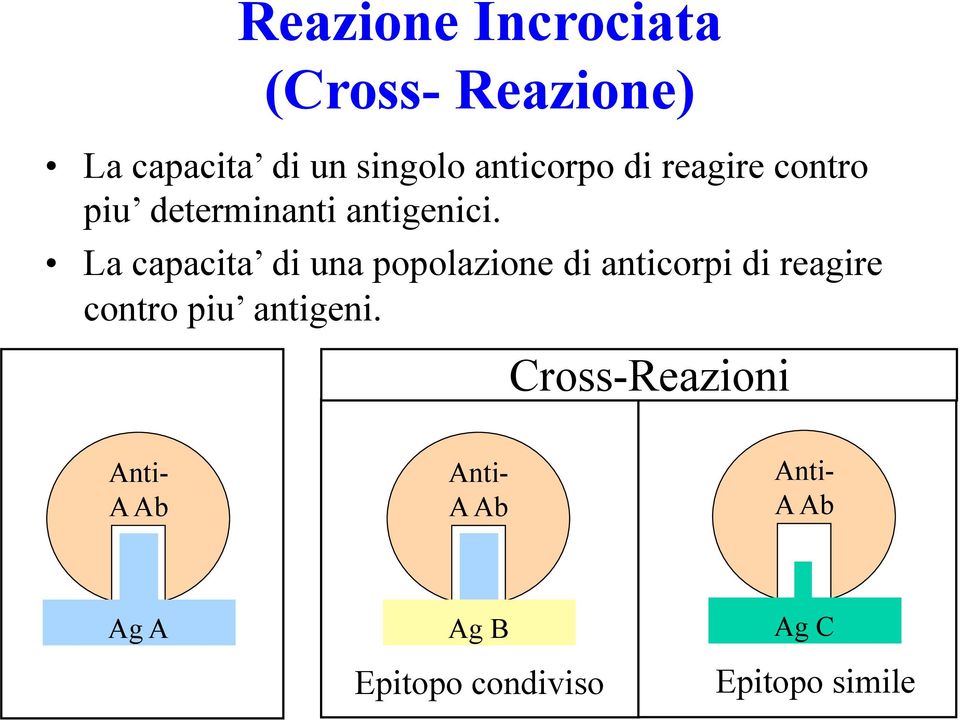 La capacita di una popolazione di anticorpi di reagire contro piu