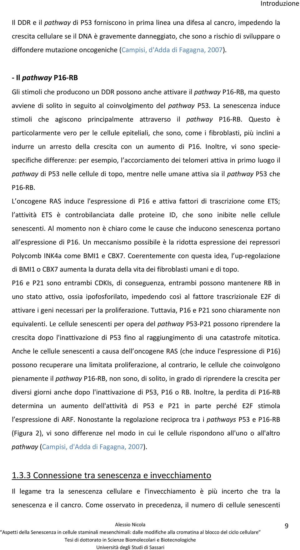 Il pathway P16 RB Gli stimoli che producono un DDR possono anche attivare il pathway P16 RB, ma questo avviene di solito in seguito al coinvolgimento del pathway P53.