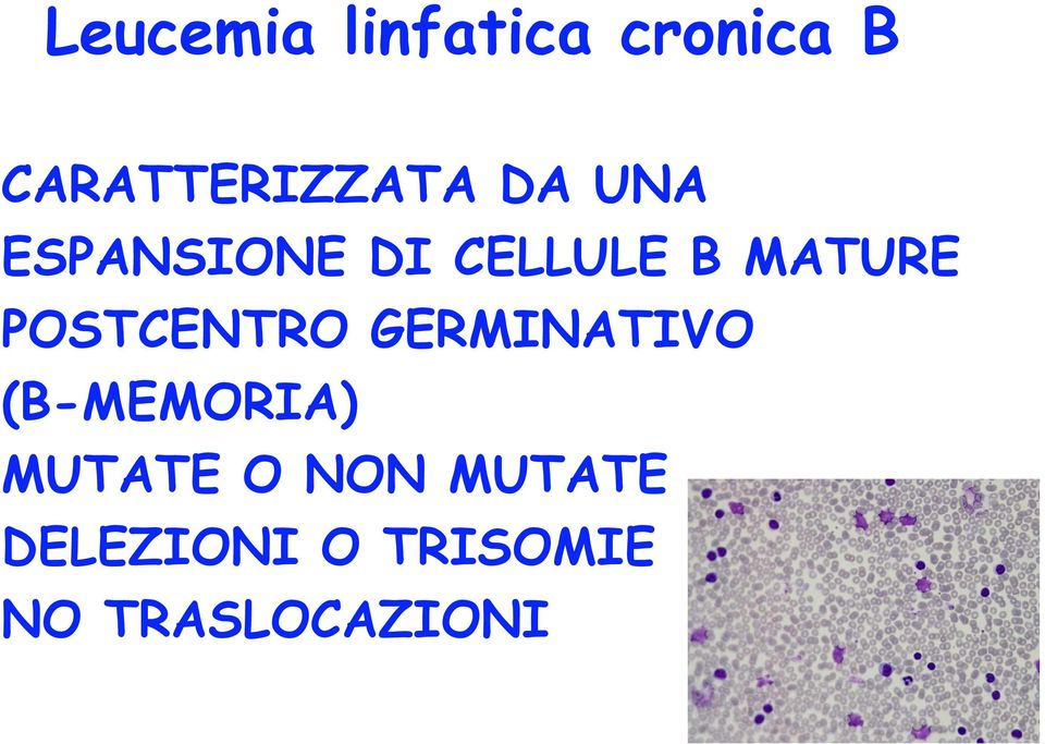 POSTCENTRO GERMINATIVO (B-MEMORIA) MUTATE O