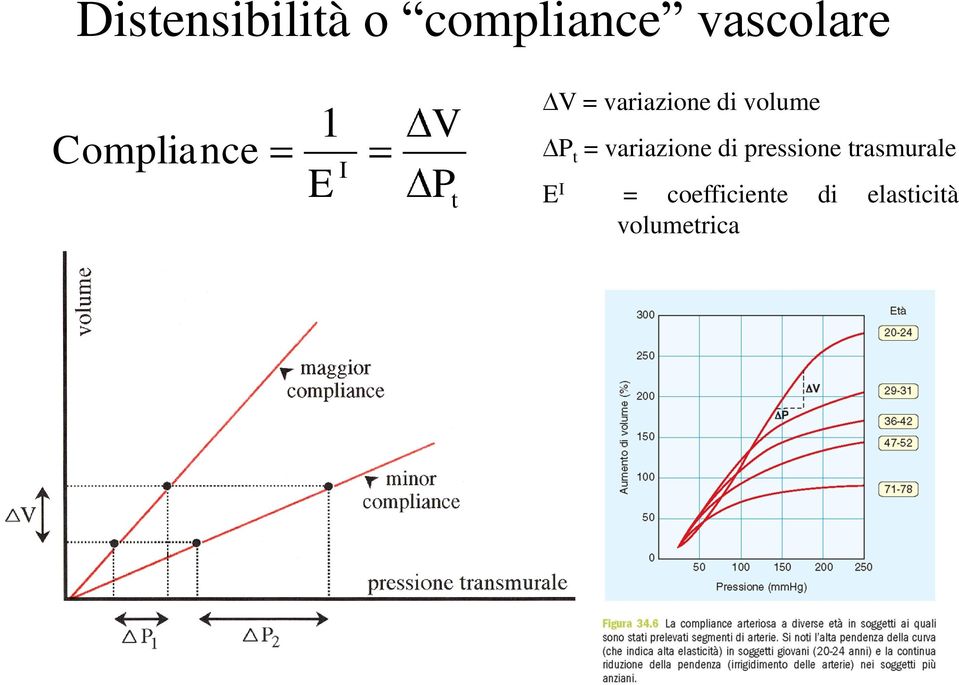 volume P t = variazione di pressione