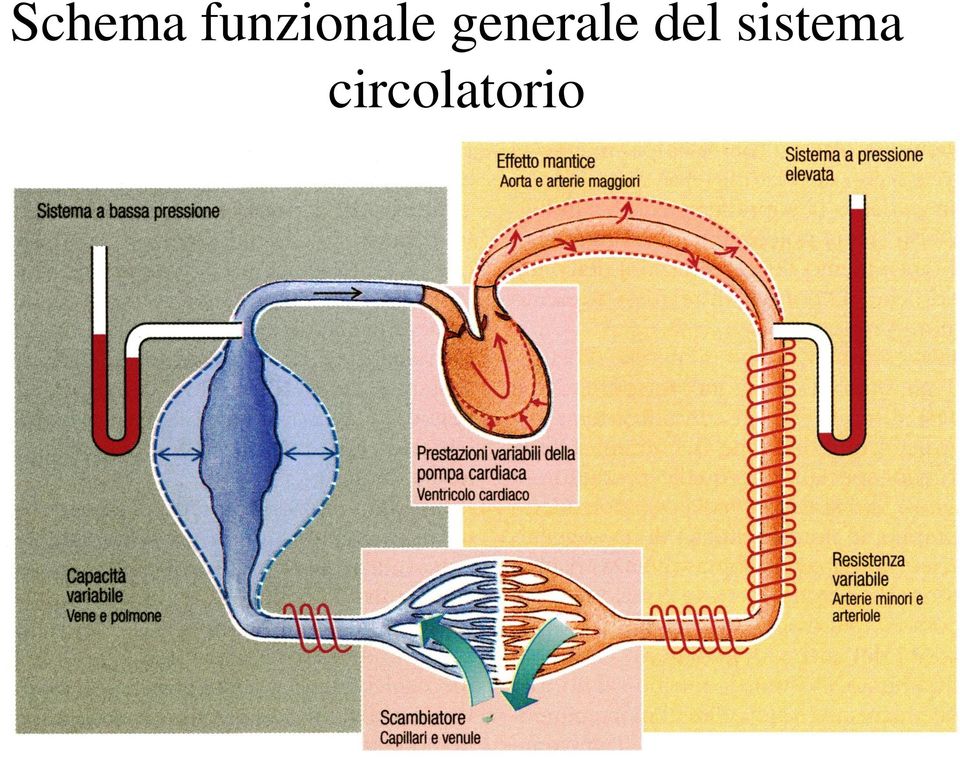 generale del