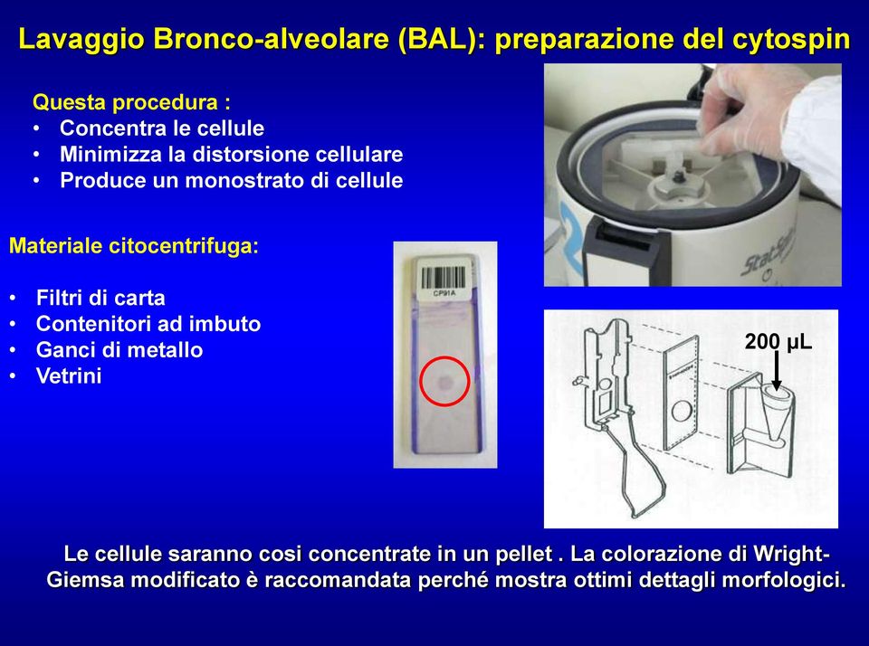 carta Contenitori ad imbuto Ganci di metallo Vetrini 200 µl Le cellule saranno cosi concentrate in un