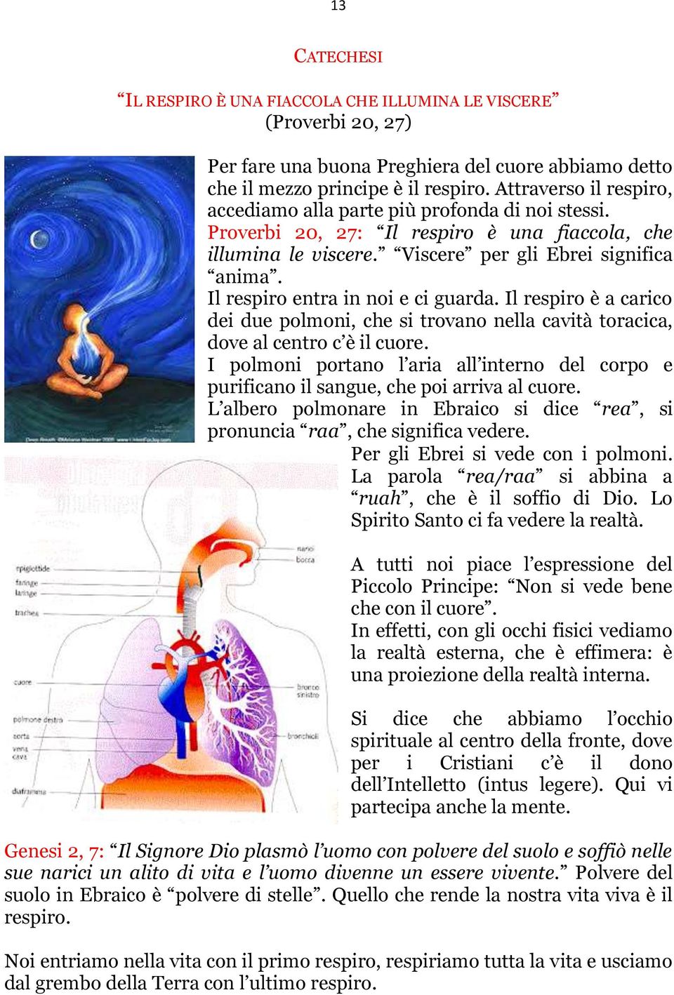 Il respiro entra in noi e ci guarda. Il respiro è a carico dei due polmoni, che si trovano nella cavità toracica, dove al centro c è il cuore.