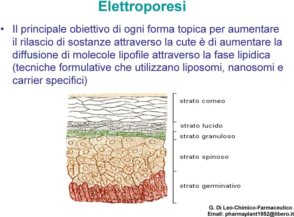 lipofile attraverso la fase lipidica (tecniche formulative che