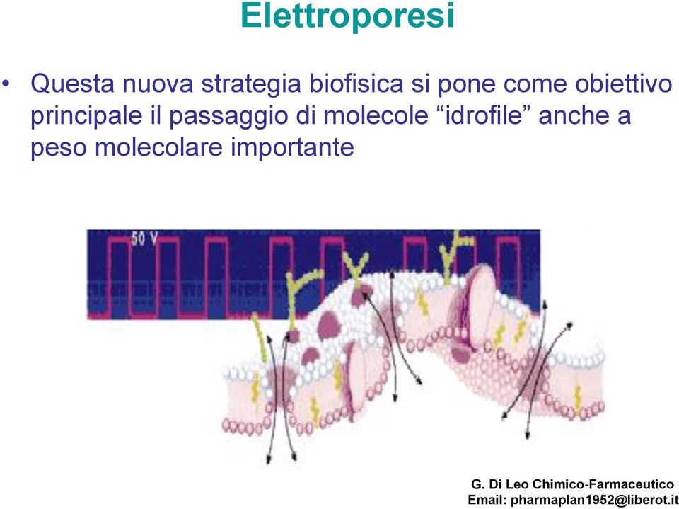 idrofile anche a peso molecolare importante G.