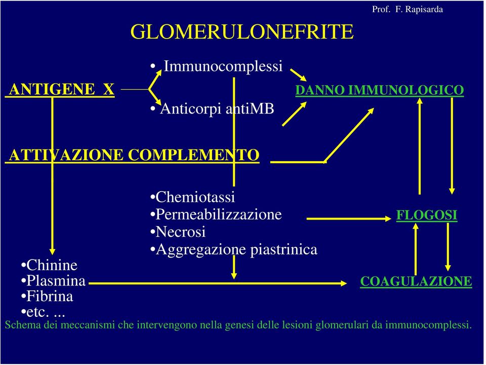 COMPLEMENTO Chemiotassi Permeabilizzazione FLOGOSI Necrosi Aggregazione piastrinica