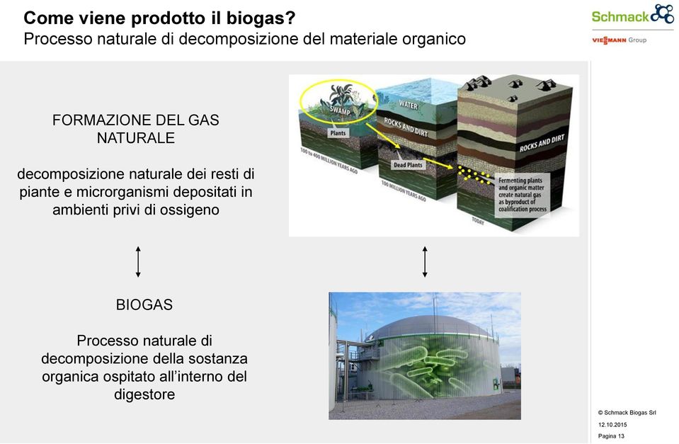 NATURALE decomposizione naturale dei resti di piante e microrganismi depositati in