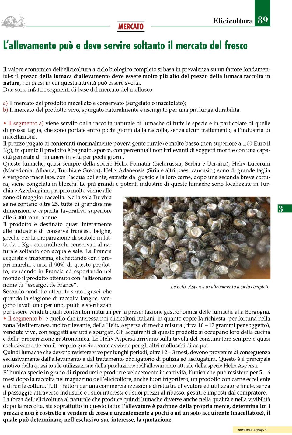 Due sono infatti i segmenti di base del mercato del mollusco: a) Il mercato del prodotto macellato e conservato (surgelato o inscatolato); b) Il mercato del prodotto vivo, spurgato naturalmente e