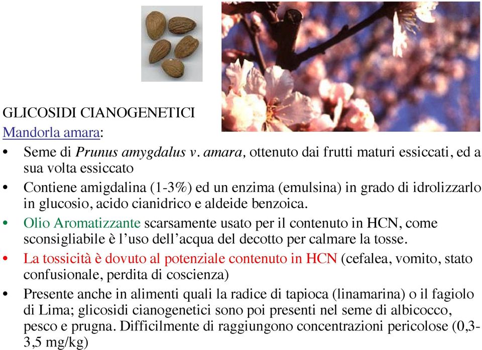 benzoica. Olio Aromatizzante scarsamente usato per il contenuto in HCN, come sconsigliabile è l uso dell acqua del decotto per calmare la tosse.