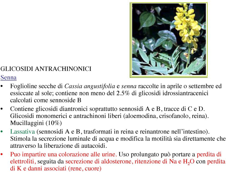 Glicosidi monomerici e antrachinoni liberi (aloemodina, crisofanolo, reina). Mucillaggini (10%) Lassativa (sennosidi A e B, trasformati in reina e reinantrone nell intestino).