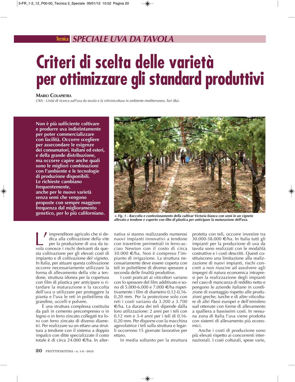 Occorre scegliere per assecondare le esigenze dei consumatori, italiani ed esteri, e della grande distribuzione, ma occorre capire anche quali sono le migliori combinazioni con l ambiente e le