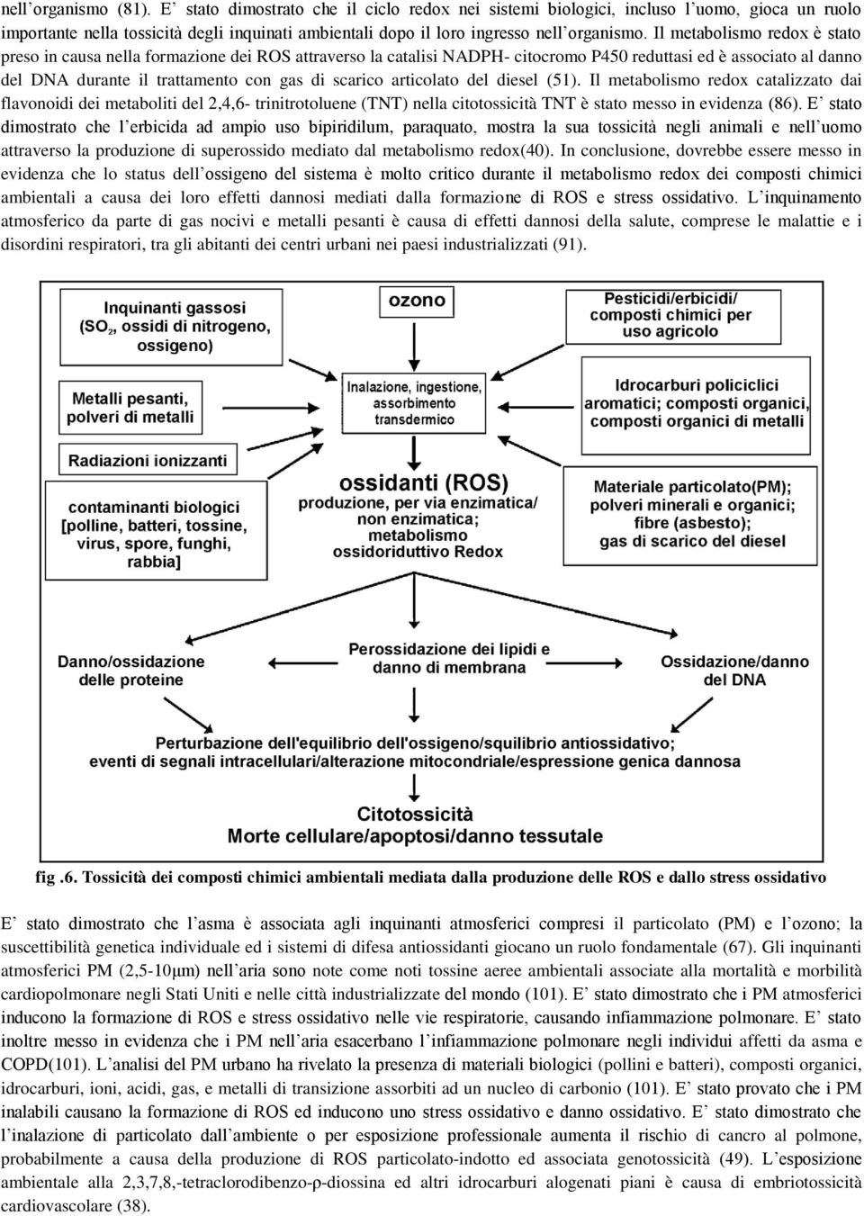 Il metabolismo redox è stato preso in causa nella formazione dei ROS attraverso la catalisi NADPH- citocromo P450 reduttasi ed è associato al danno del DNA durante il trattamento con gas di scarico