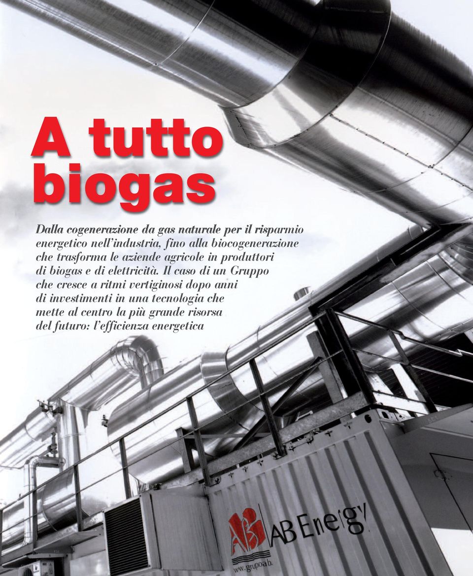 biogas e di elettricità.