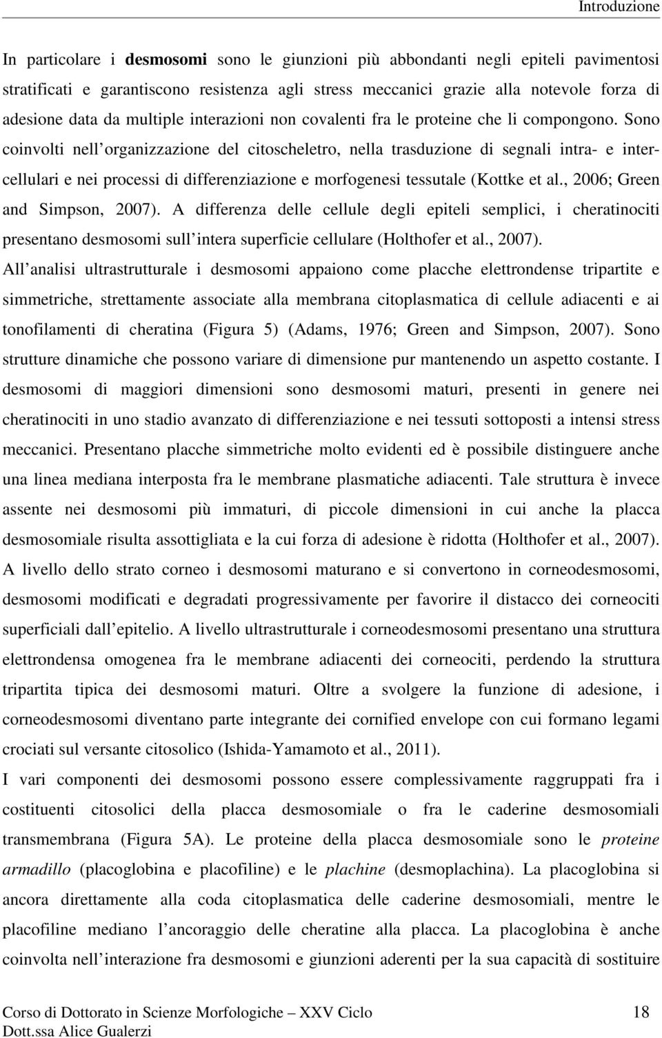 Sono coinvolti nell organizzazione del citoscheletro, nella trasduzione di segnali intra- e intercellulari e nei processi di differenziazione e morfogenesi tessutale (Kottke et al.