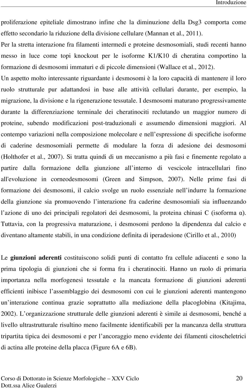 desmosomi immaturi e di piccole dimensioni (Wallace et al., 2012).